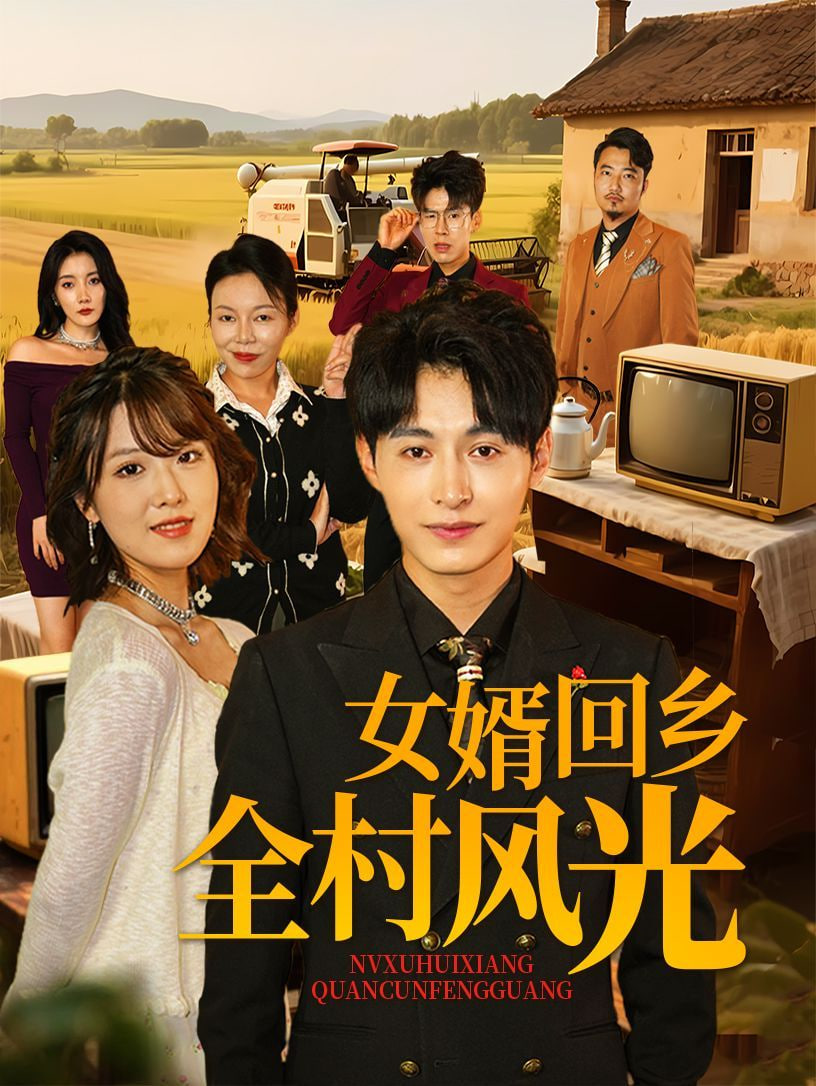 女婿回乡全村风光封面图