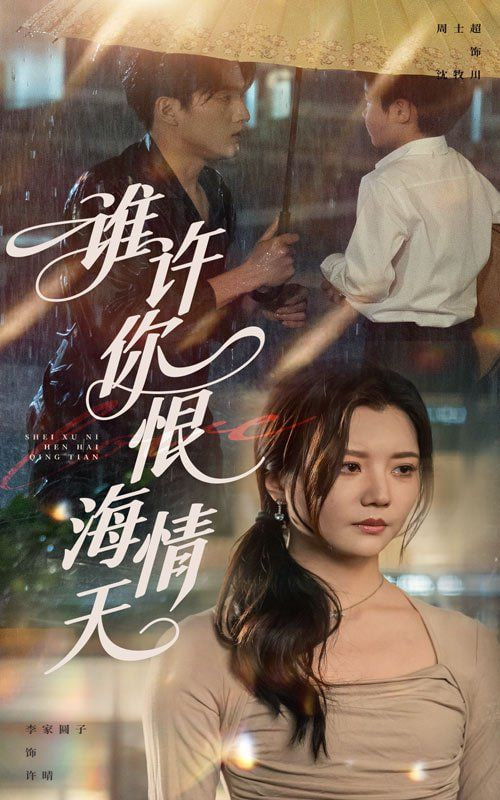 谁许你恨海情天封面图