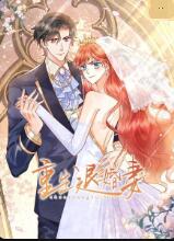 重生退婚妻封面图