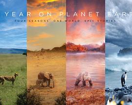 地球上的一年封面图