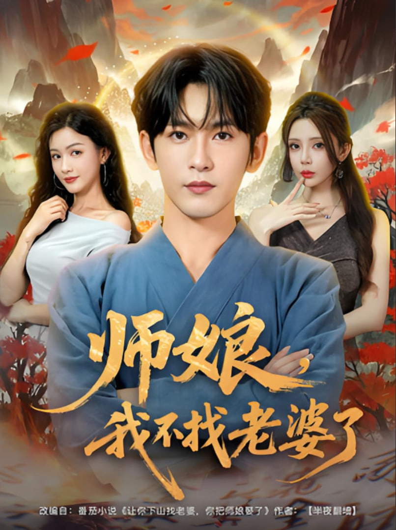 师娘我不找老婆了封面图