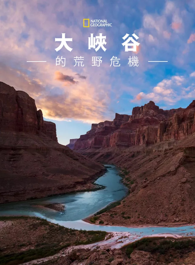 大峡谷的荒野危机封面图