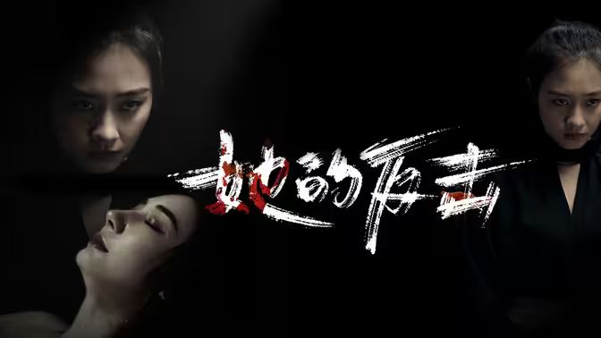 她的反击封面图