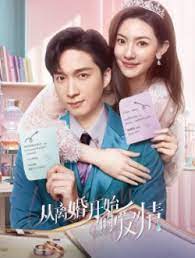 从离婚开始的爱情封面图