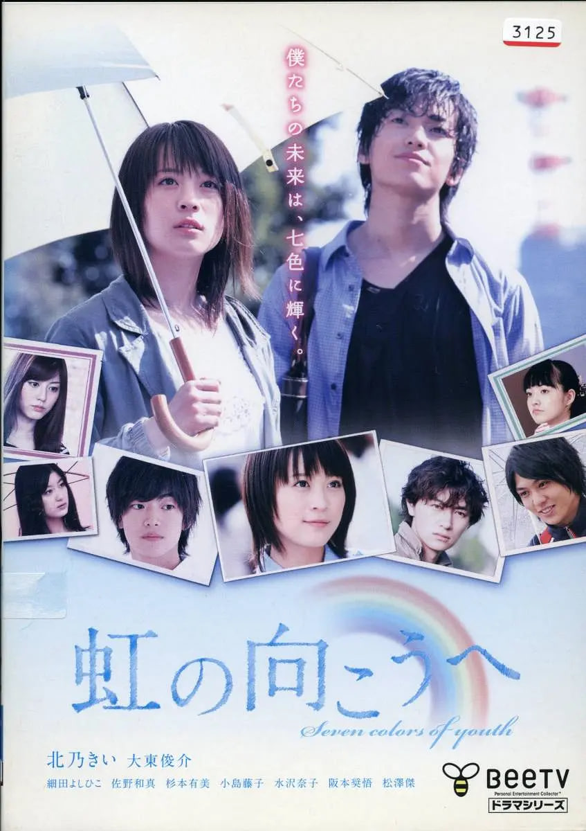 彩虹的对面封面图