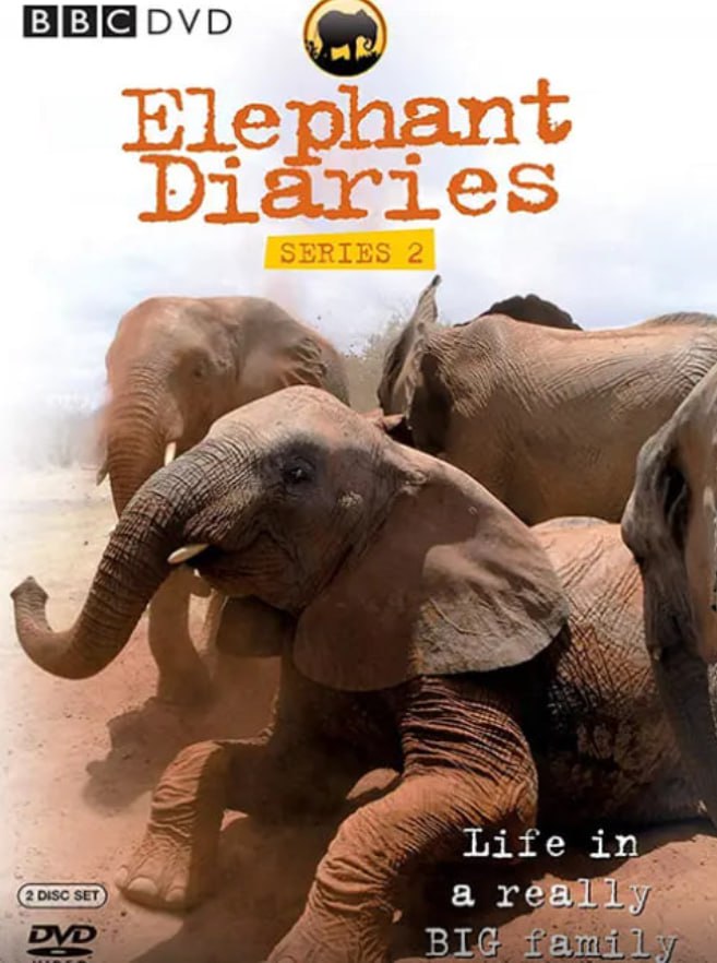 大象日记 第二季封面图