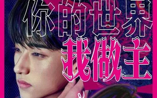 你的世界我做主封面图