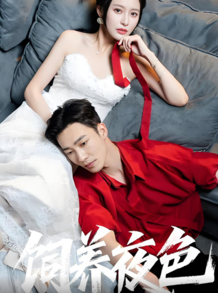 饲养夜色封面图