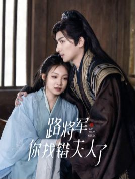 路将军你找错夫人了封面图