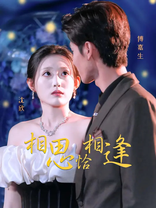 相思恰相逢封面图