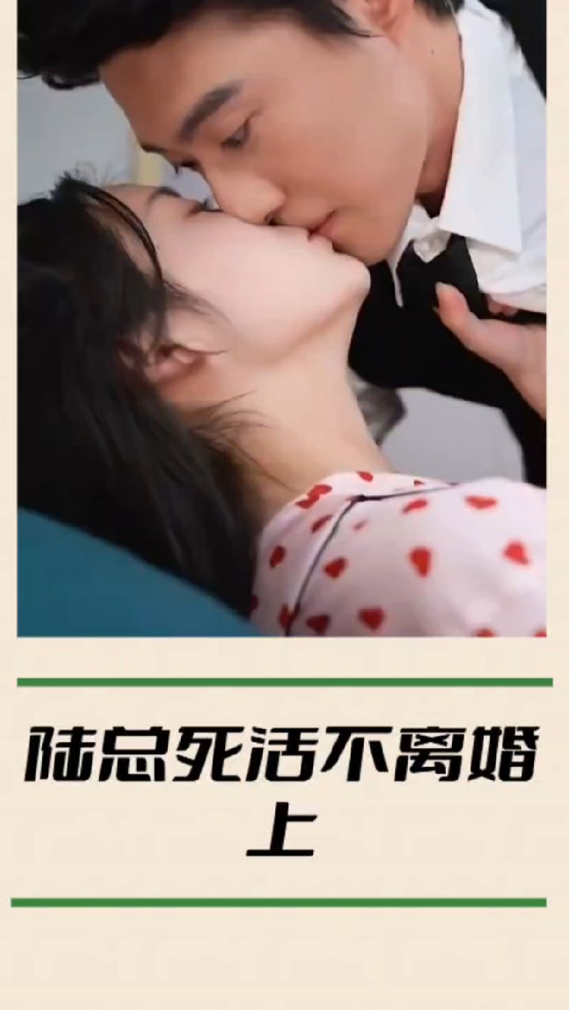 陆总死活不离婚封面图