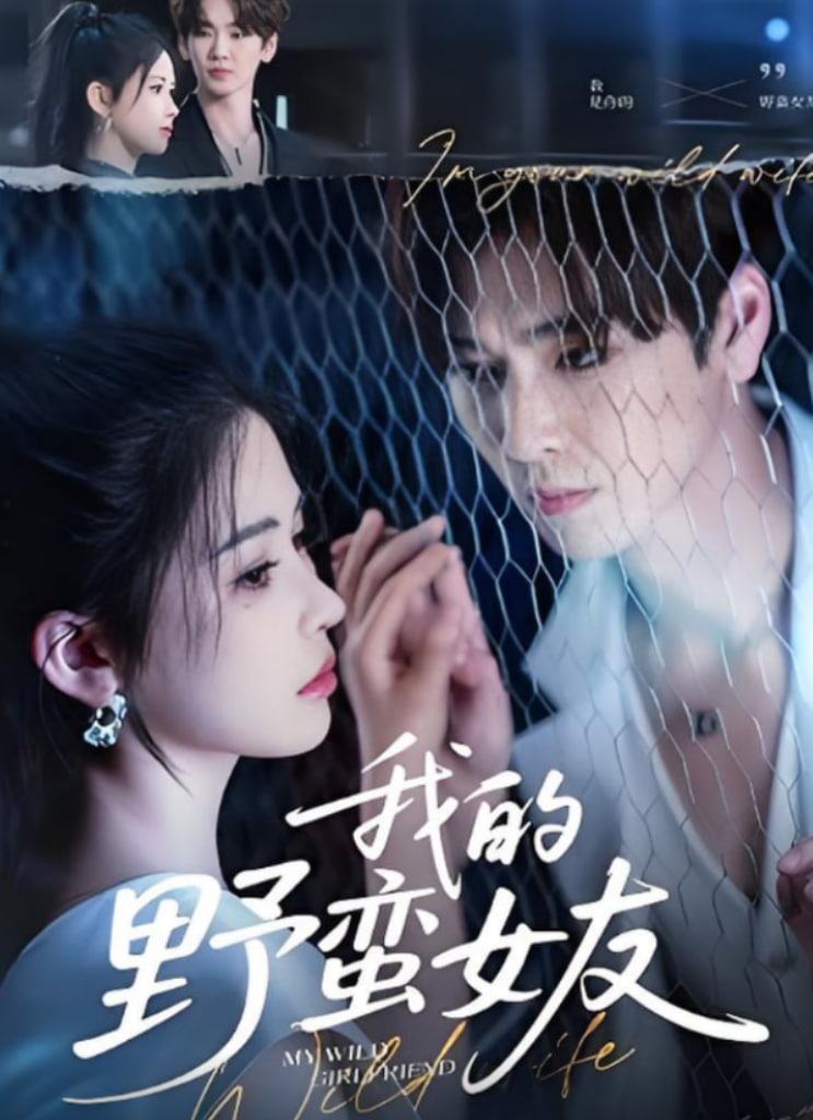 我的野蛮女友封面图