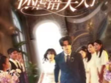 陆总住手吧，你虐错夫人了封面图