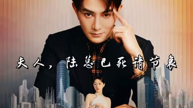 夫人，陆总已死请节哀封面图