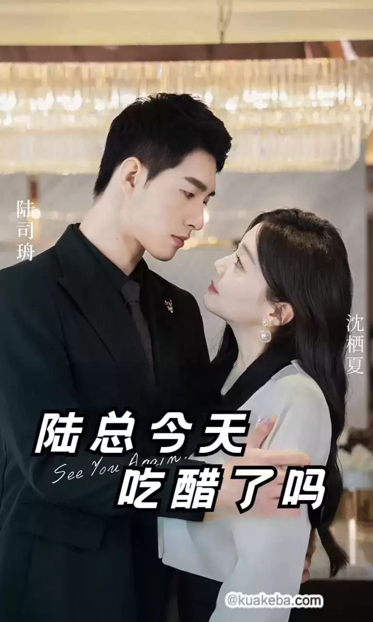 陆总今天吃醋了吗封面图