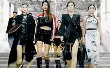 无双傻婿封面图