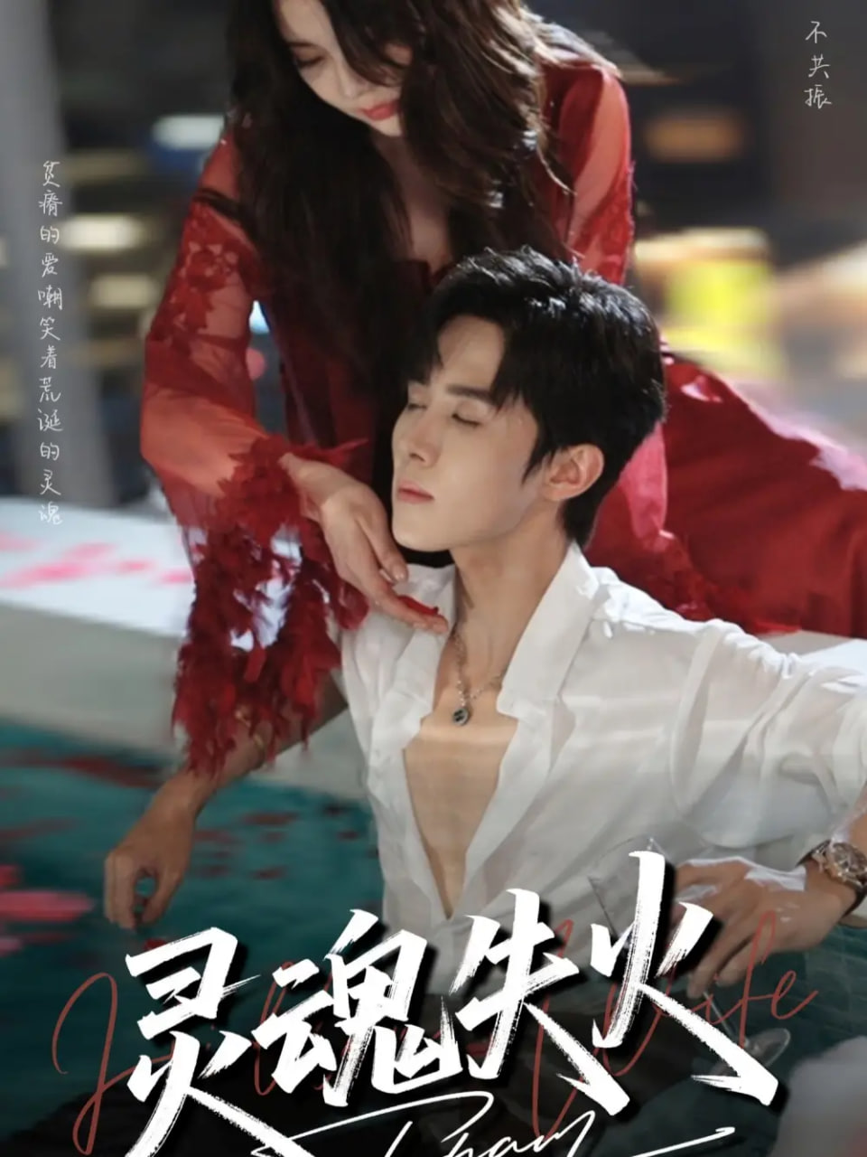 灵魂失火封面图