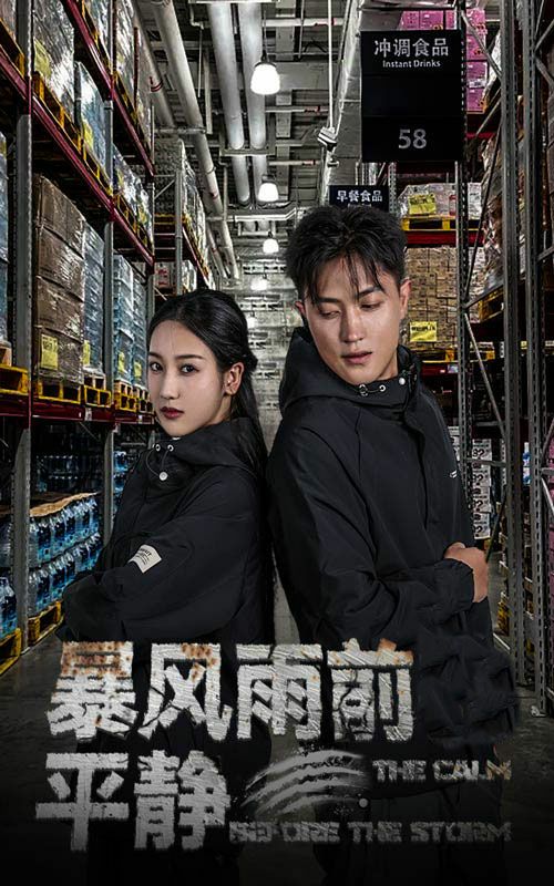 暴风雨前的平静封面图