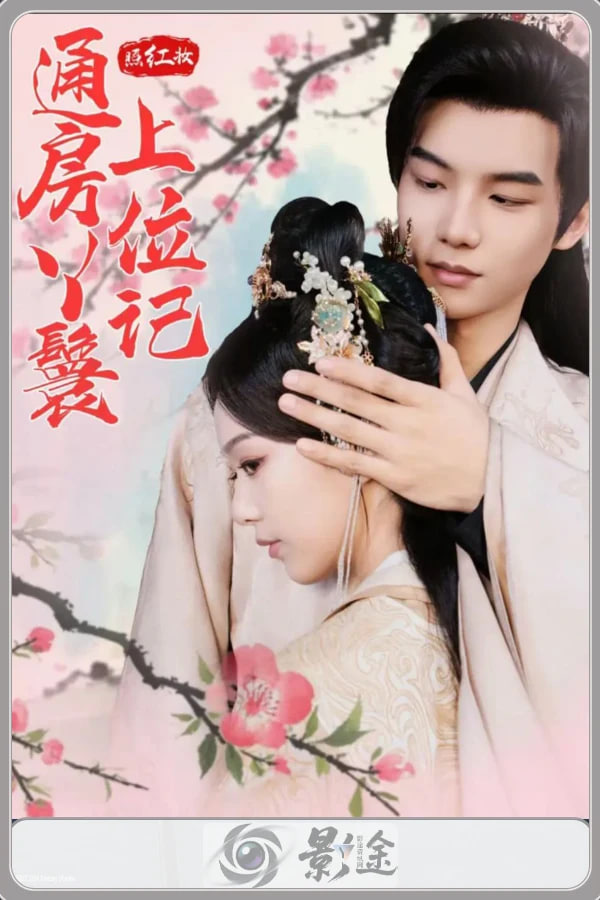 红颜风华录封面图