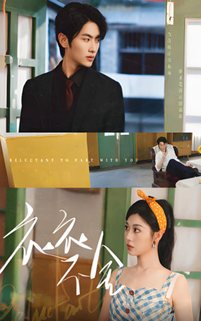 衣衣不舍封面图