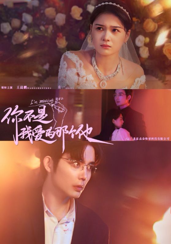 你不是我爱的那个他封面图