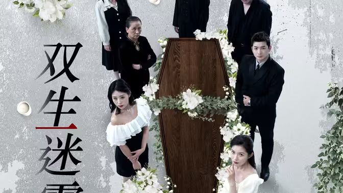 双生迷雾封面图