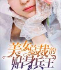 美女总裁的贴身兵王封面图