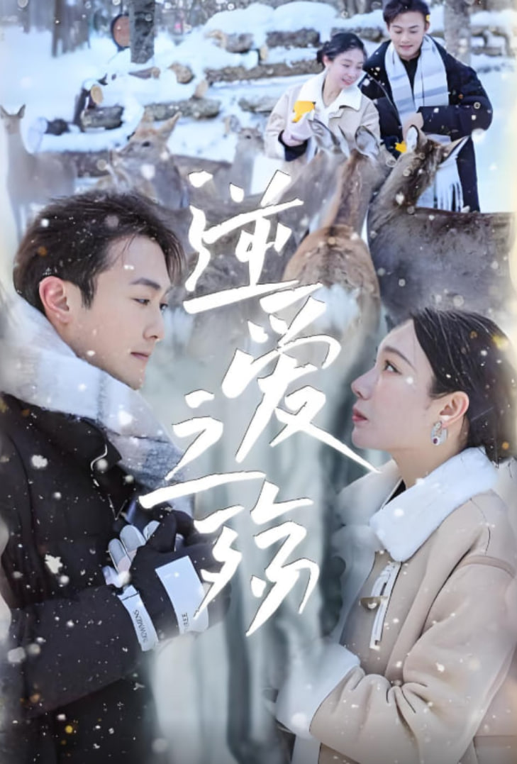 逆爱之殇封面图