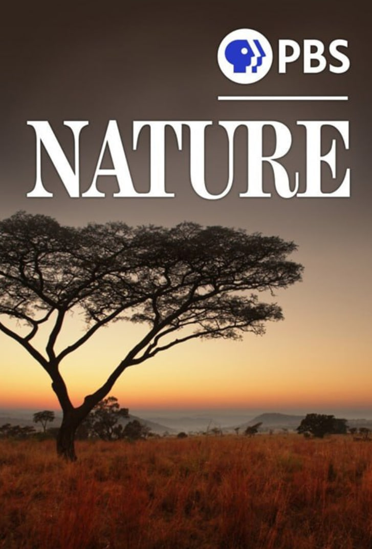 自然 第四十季封面图