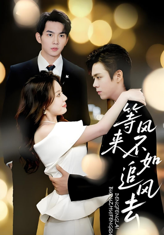 等风来不如追风去封面图