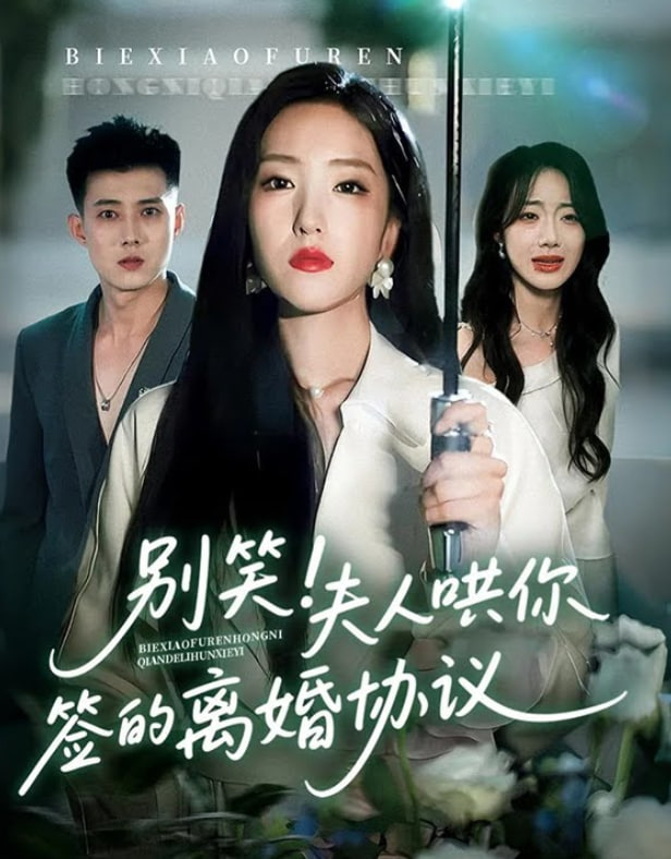 别笑夫人哄你签的离婚协议封面图