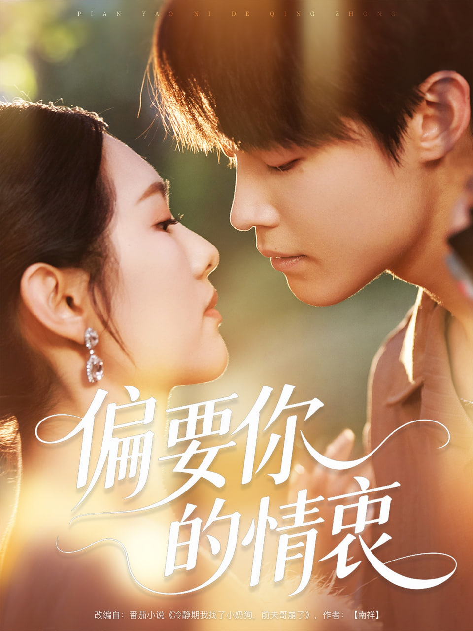 偏要你的情衷封面图
