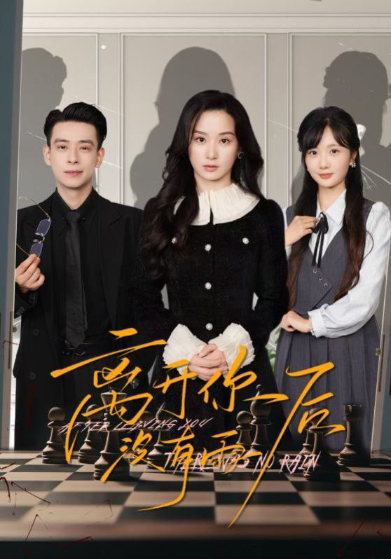 离开你后没有雨封面图