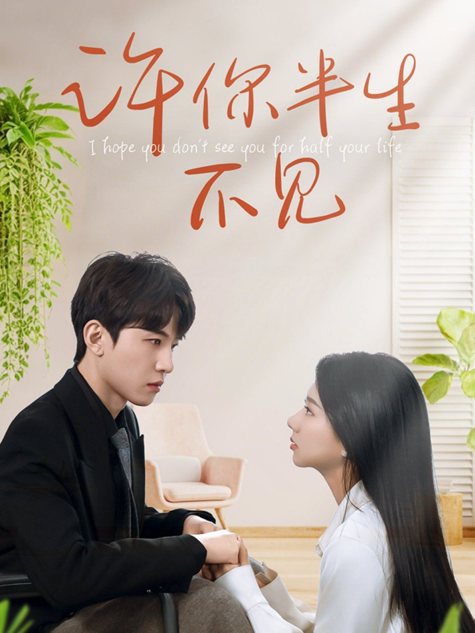 许你半生不见封面图