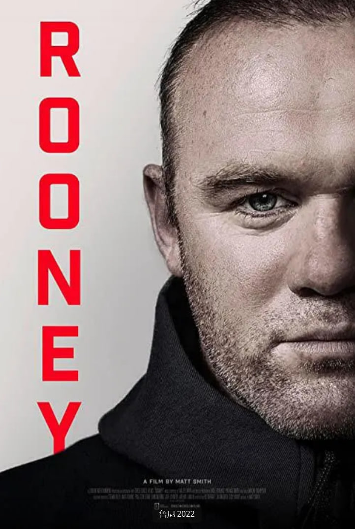 鲁尼 2022封面图