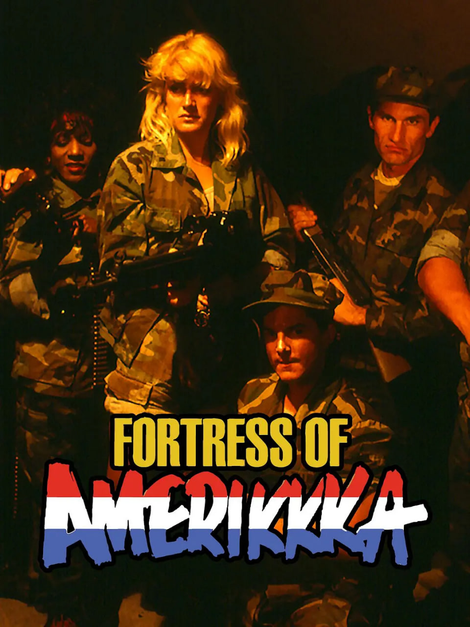 美国要塞封面图