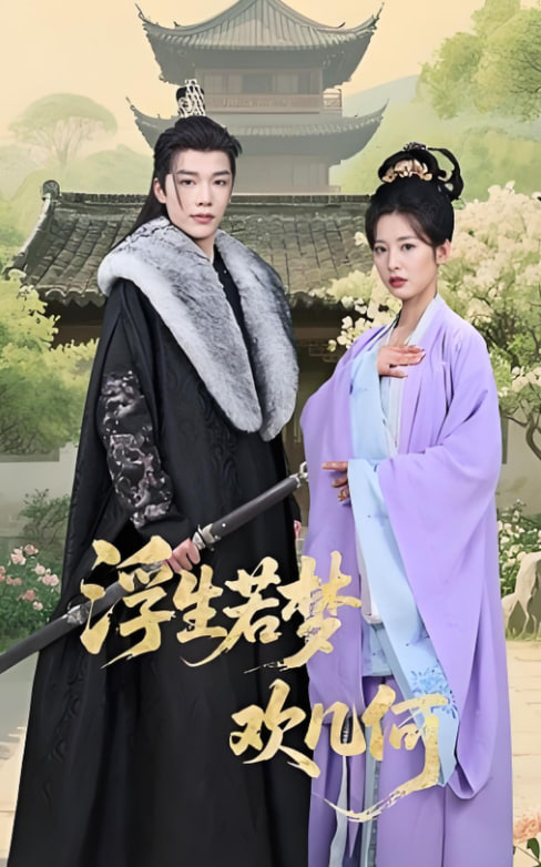 浮生若梦欢几何封面图