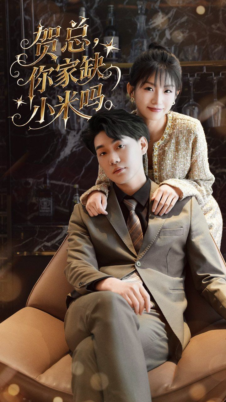 贺总你家缺小米吗封面图