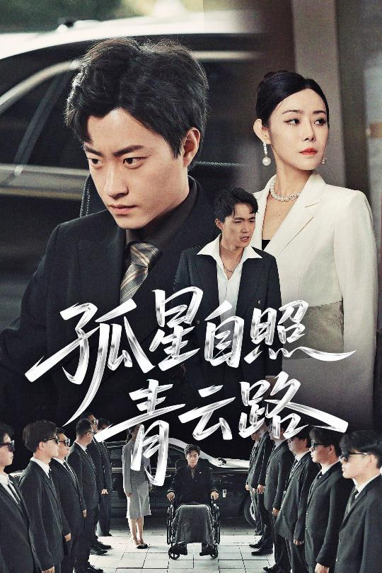 孤星自照青云路封面图