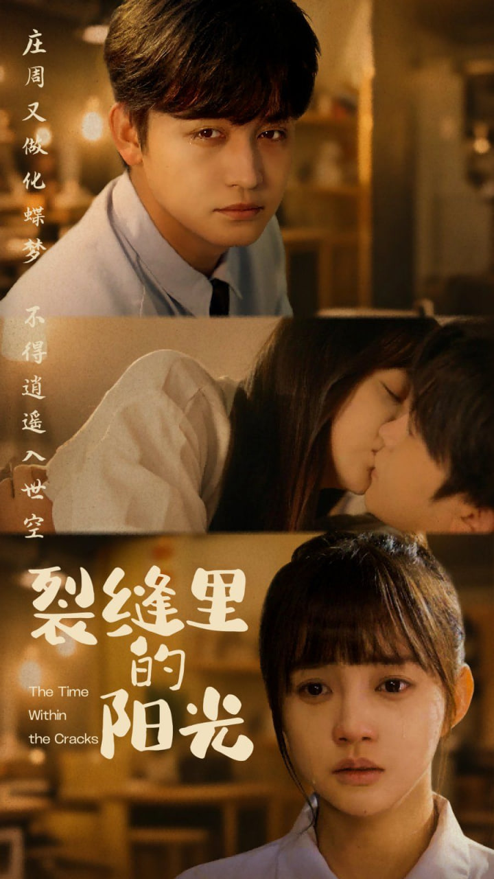 裂缝里的阳光封面图