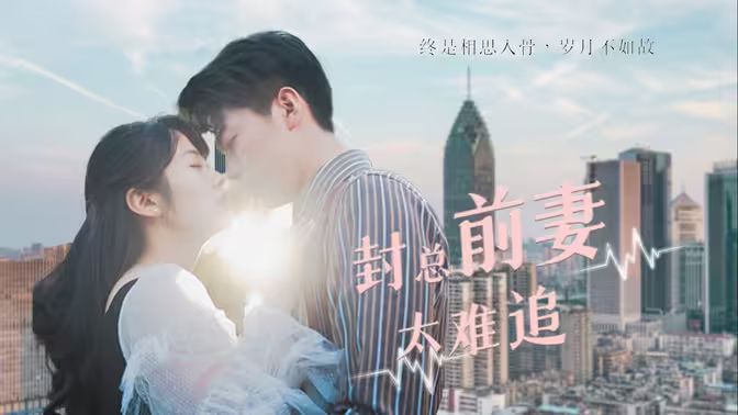 封总前妻太难追封面图