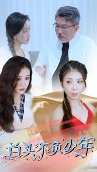 白头不负少年封面图