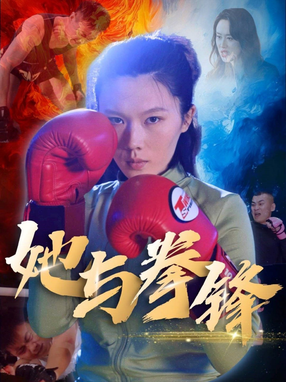 她与拳锋封面图