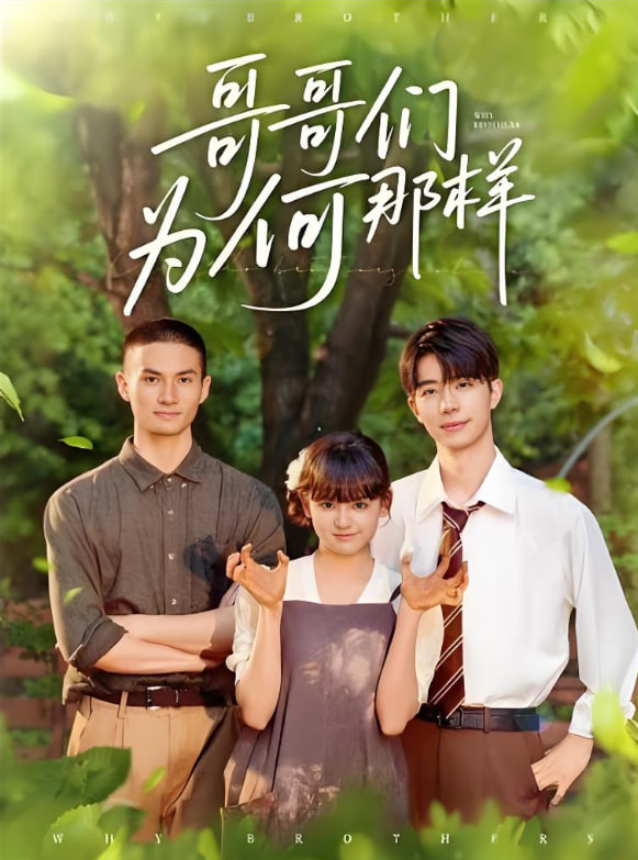 哥哥们为何对我那样封面图