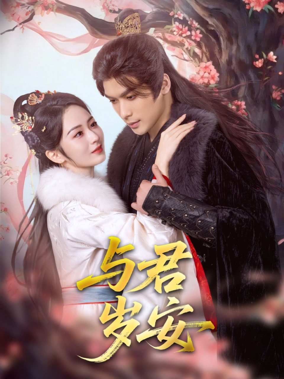 与君岁安封面图