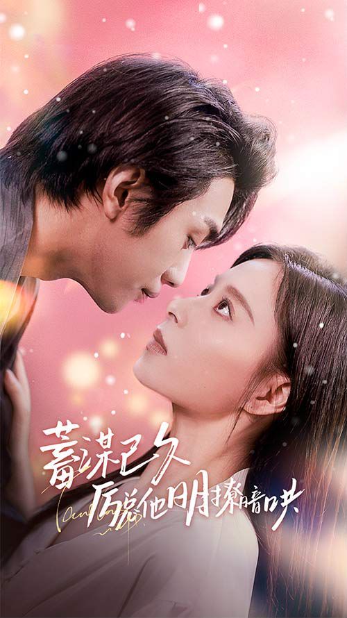 蓄谋已久历总他明撩暗哄（历总夫人她又跑了）封面图