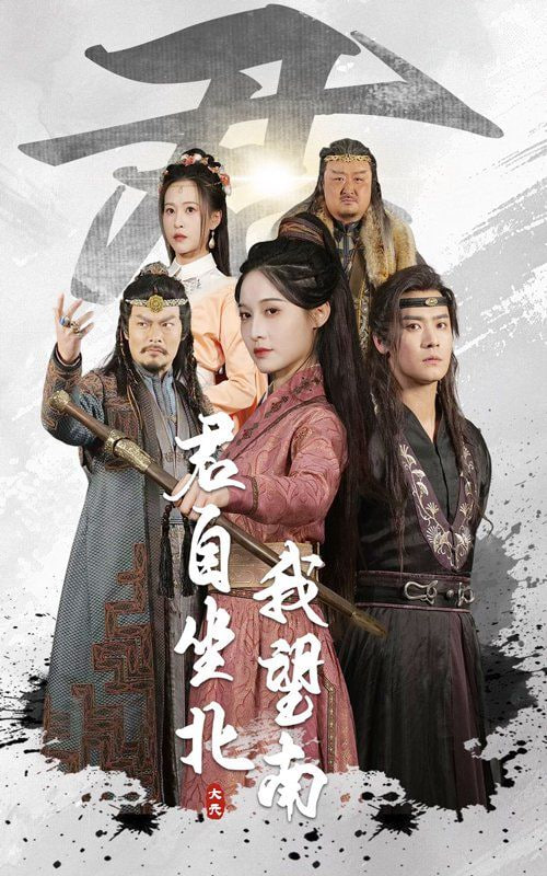 君自坐北我望南（我自迎风向故）封面图