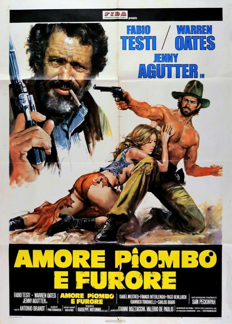 怒发冲冠为红颜封面图