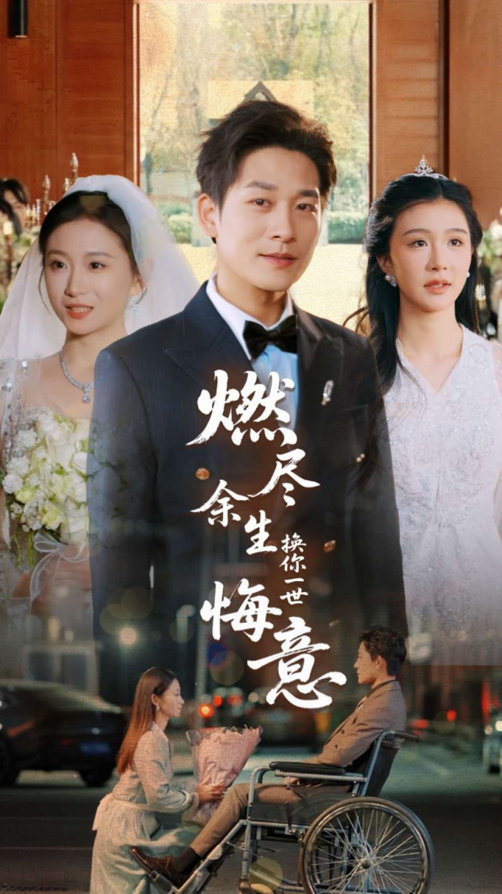 燃尽余生换你一世悔意封面图