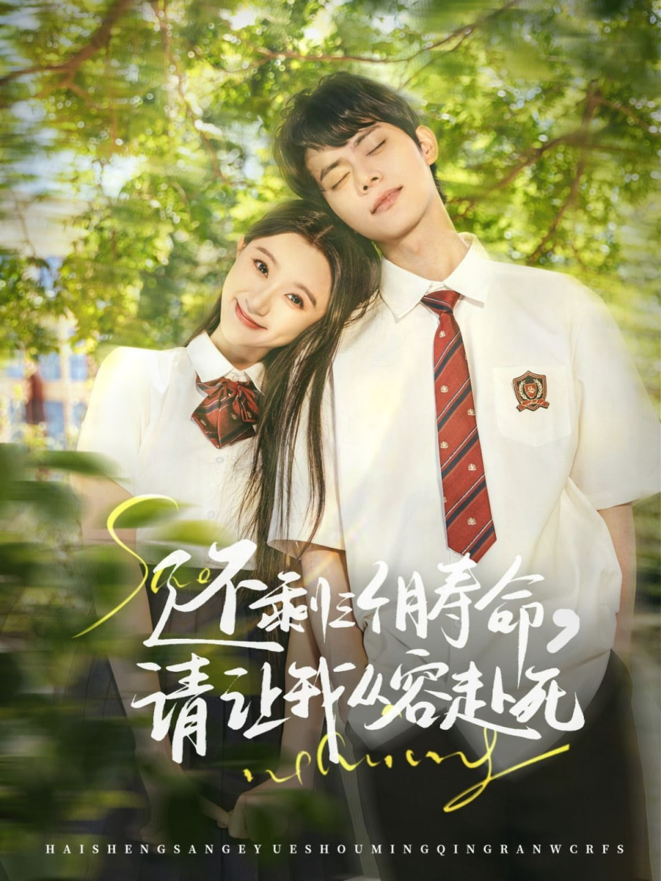 还剩三个月寿命，请让我从容赴死封面图